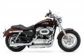 2013 Harley-Davidson 1200 Custom 110th Anniversary photo